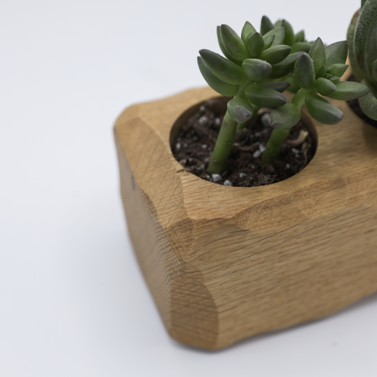 desktop succulent planter Succulent Desktop Planter