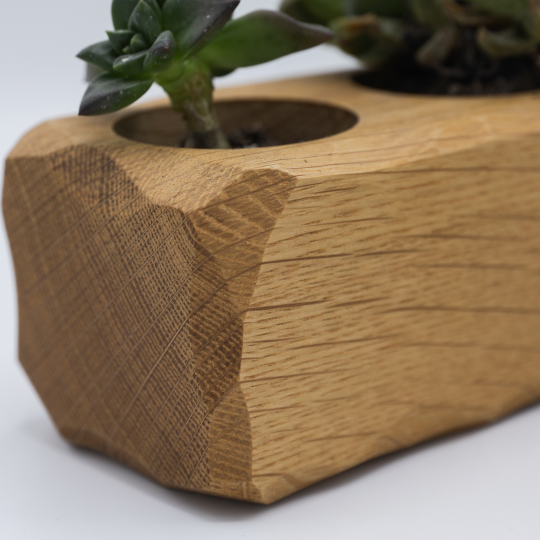 desktop succulent planter Succulent Desktop Planter