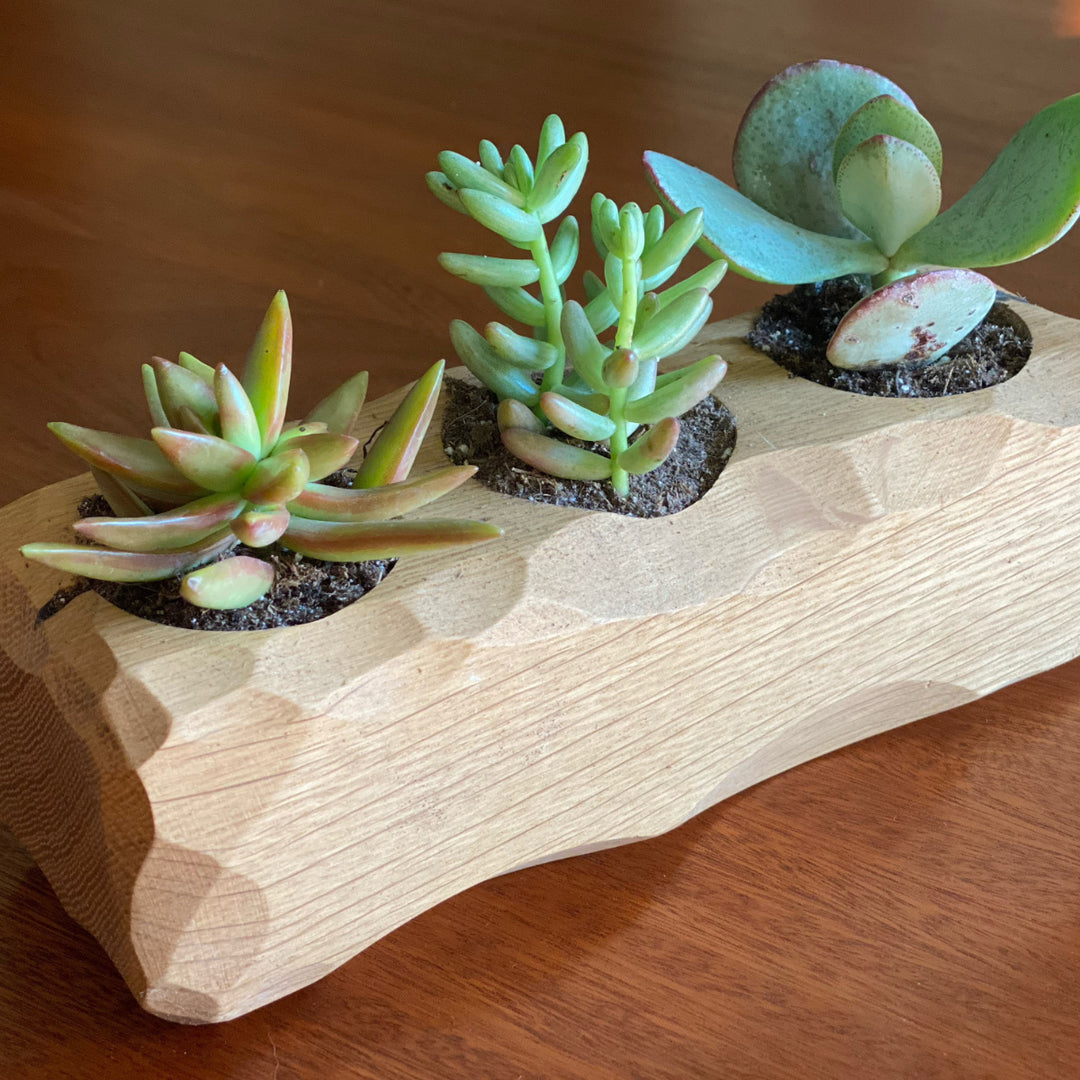 up house succulent holder Succulent Desktop Planter
